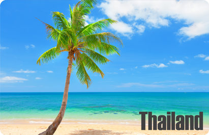 Palm Tree on Beach, Thailand, 8854093005105