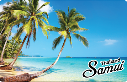 Palm Tree Samui Island, 8859194800949