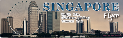 SG Flyer Facts (Long), 8859194803056