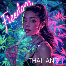 Freedom Thailand, 5pcs/pack, 8859194819088