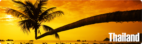 Palm Tree Sunset, 8854093005235