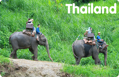 Thailand: Elephant Trekking, 8854093008694