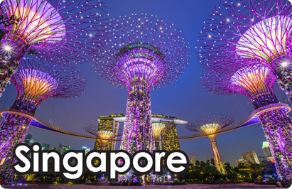 Singapore: Gardens by the Bay Night, 8854093009967