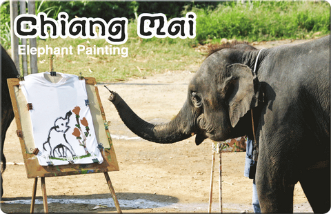 Chiang Mai: Elephant Painting, 8859194801182