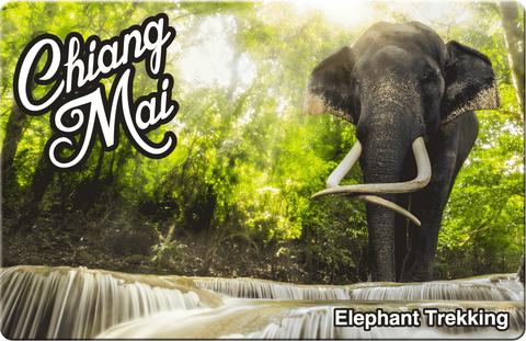 Chiang Mai: Elephant Trekking, 8859194801236