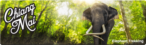 Chiang Mai: Elephant Trekking (Long), 8859194801274