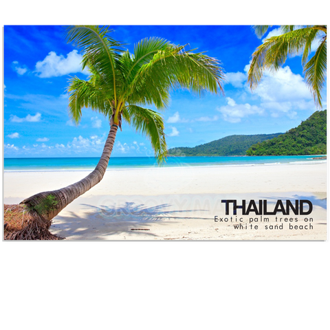 Thailand - Palm and White Beach (PC), 8859194801427