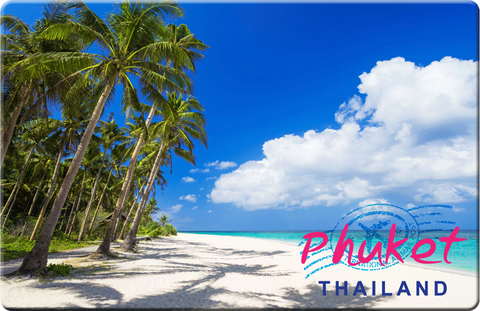 Palm tree and Beach, Phuket, 8859194802479