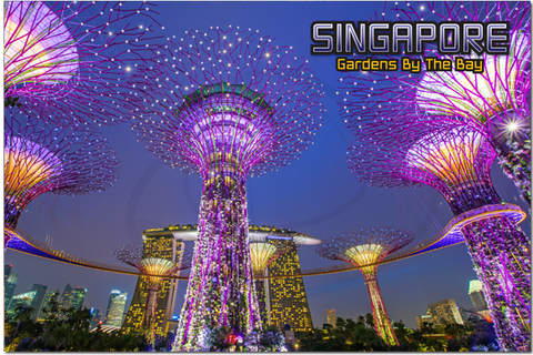 Singapore: PC Gardens By The Bay night 8859194804091