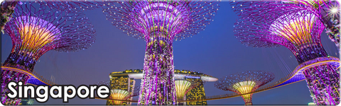Singapore: Gardens by the Bay Night (Long), 8859194813468