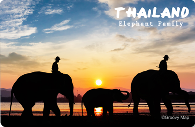 Bangkok : Elephant Family, 8859194813772