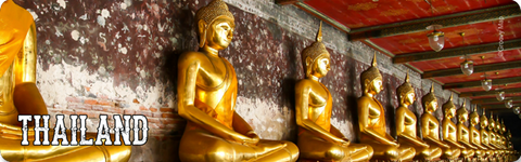 Bangkok : Buddha Statue at Wat Po (Long), 8859194814007